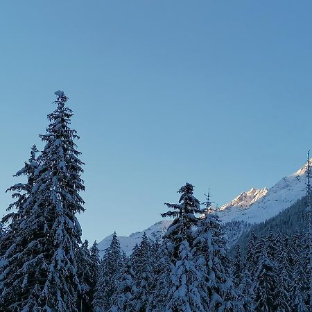 Apartament Mooshof Kaunertal Zewnętrze zdjęcie